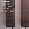 Minor Pentatonic Scales backing tracks album cover