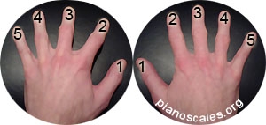 Piano Keyboard Finger Position Chart