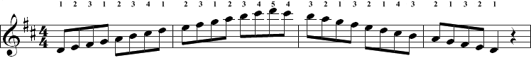 D scale notes