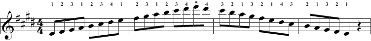 e scale notes