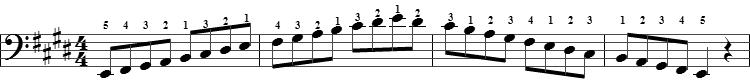 e scale notes